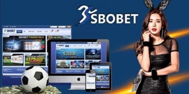 Nhà cái Sbobet - Top đầu về độ uy tín và chất lượng